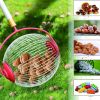 Fruit Picker Walnuts Chestnuts Harvester Adjustable Garden Roller